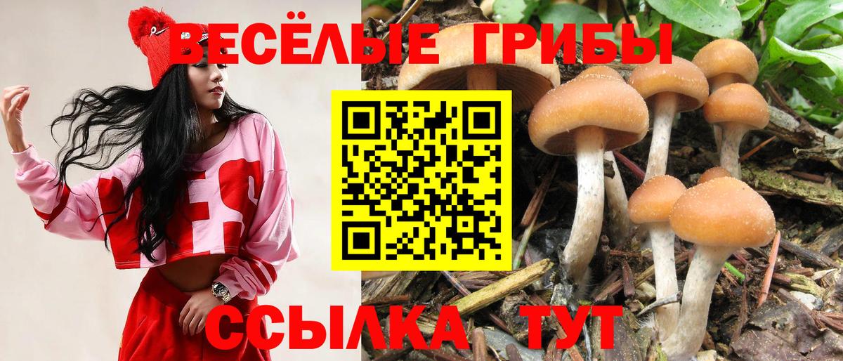 Галлюциногенные грибы MAGIC MUSHROOMS  Вход с VPN  Рубцовск 